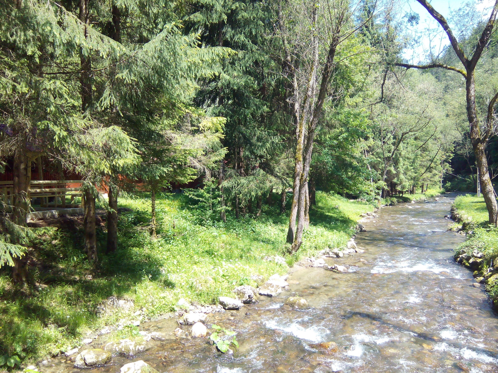 Campare Valea Bratcutei