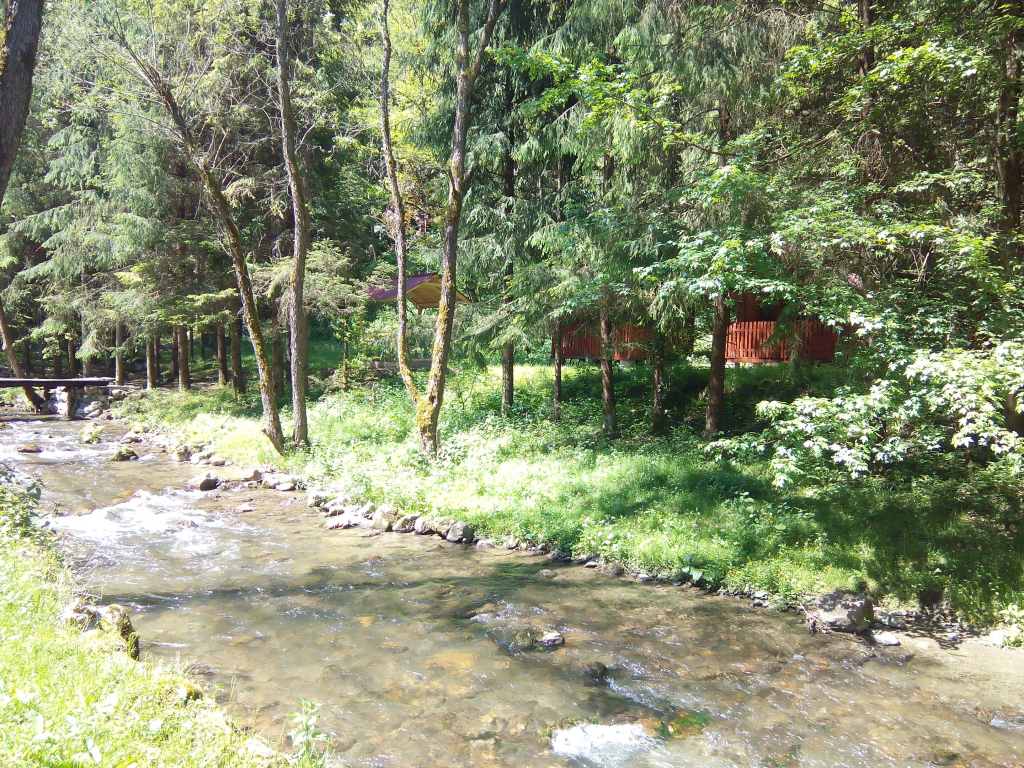 Campare Valea Bratcutei