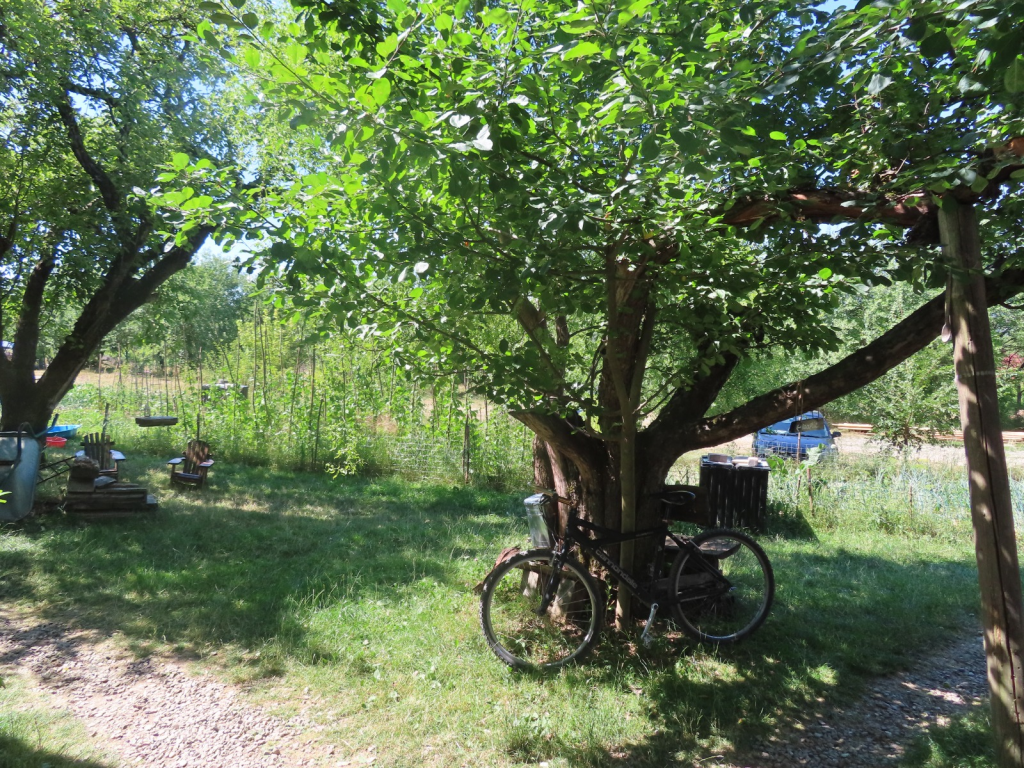 Camping Babou Maramures