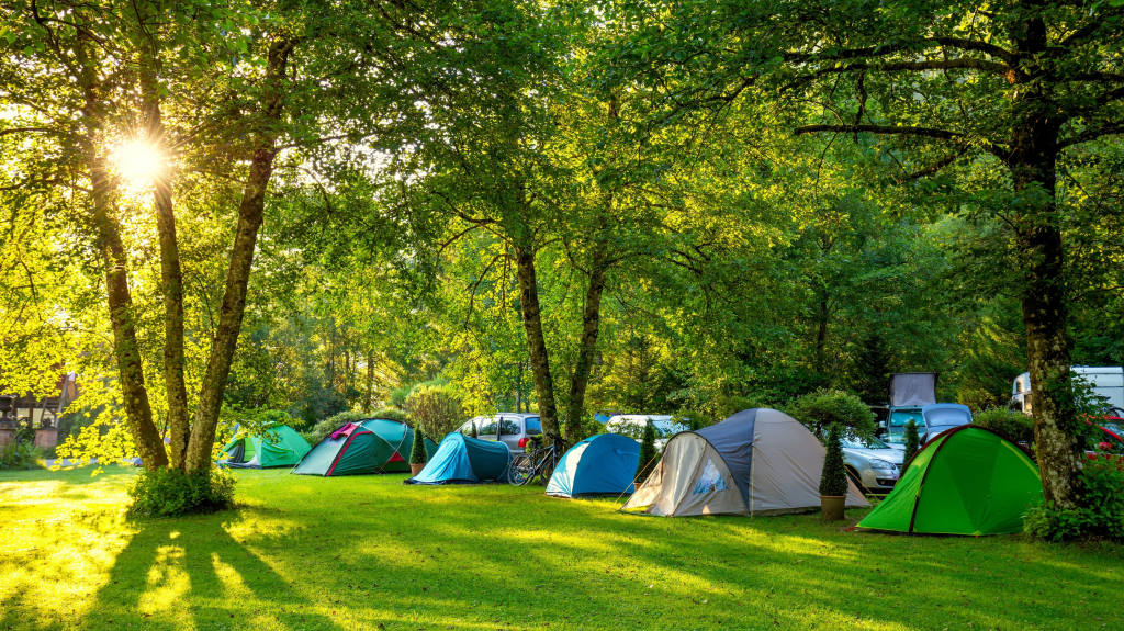 Camping Bucuresti Belvedere