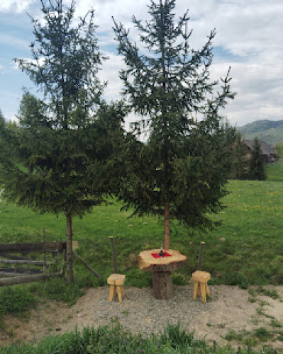 Camping Casutele Molidului