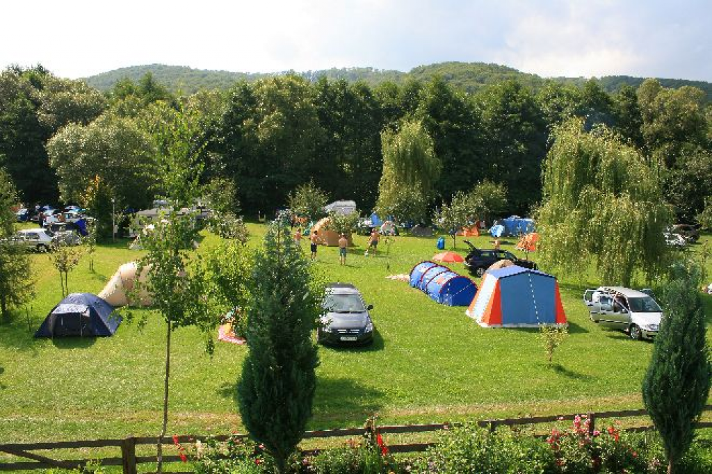 Camping Mustang