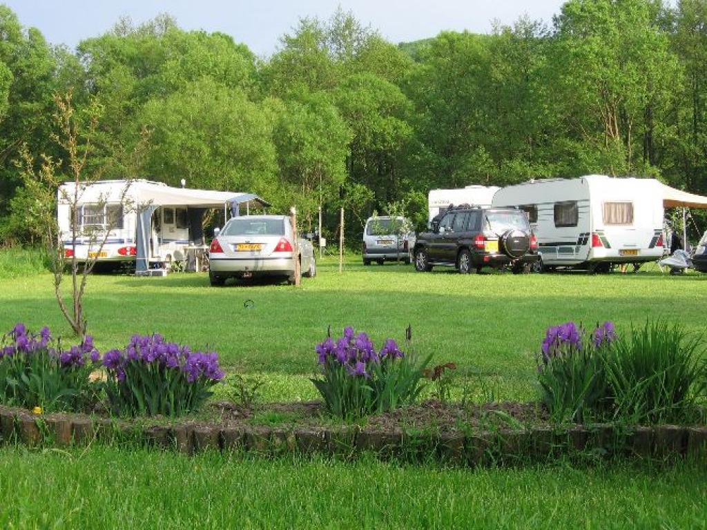 Camping Mustang