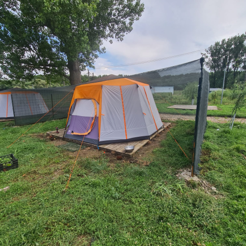 Camping Rust