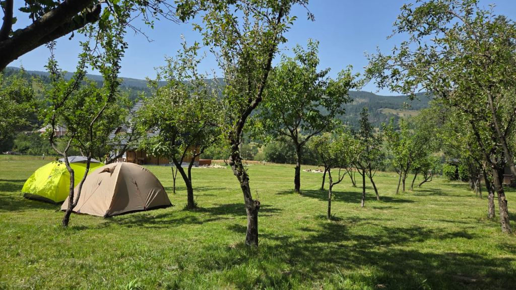 Deja View Cabin&Camp