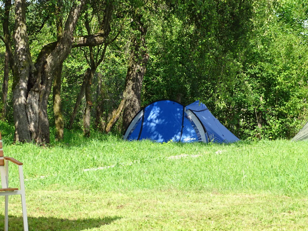 Camping Gruiul Colunului