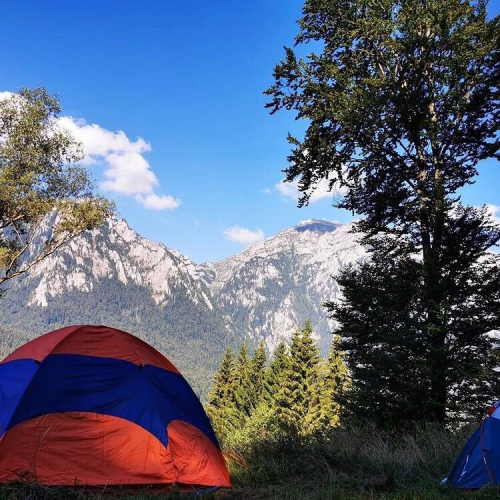 Hay Huy Camp Bușteni