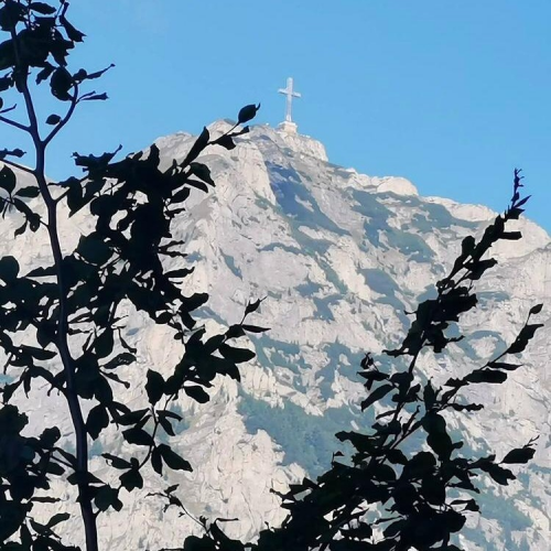 Hay Huy Camp Bușteni