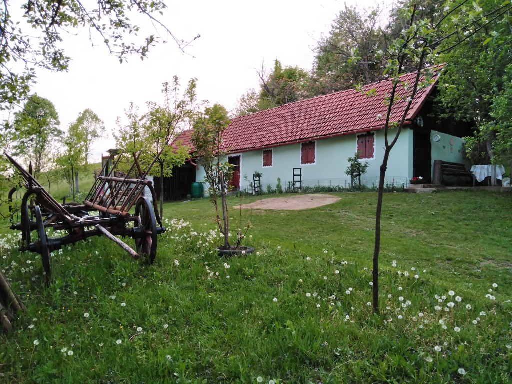 Camping La Sălașul fermecat