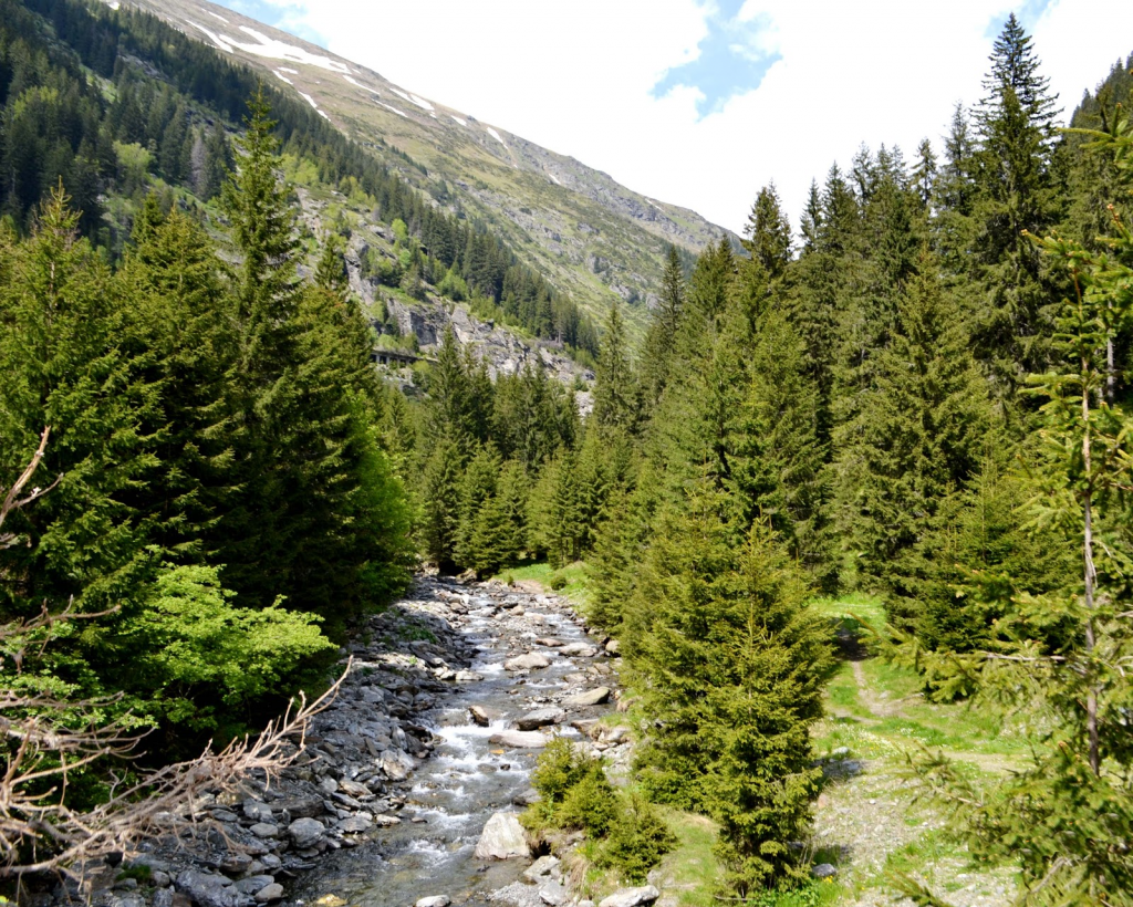 Camping Transfagarasan