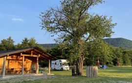 CAMPING PASTRAVUL SAPANTA