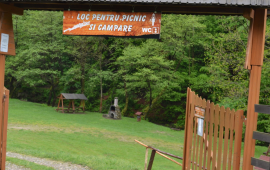 Camping Sargetia 