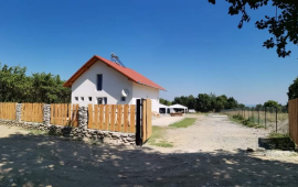 Camping Valea Sâmbetei 