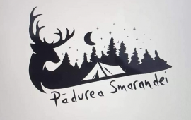 Pădurea Smarandei Camping